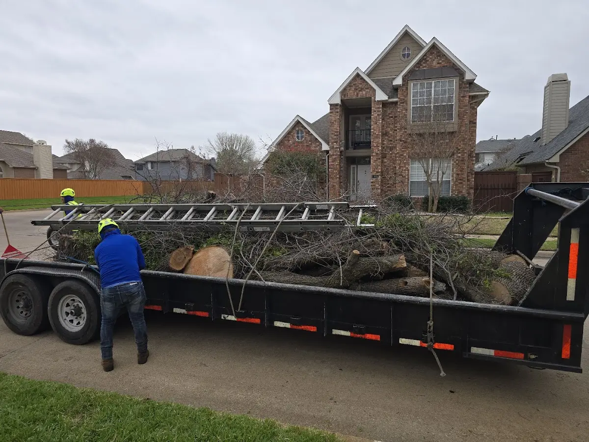 Expert Tree Removal with proper safety equipment in Burr Oak